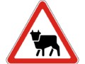 Знак 1.26 Перегон скота